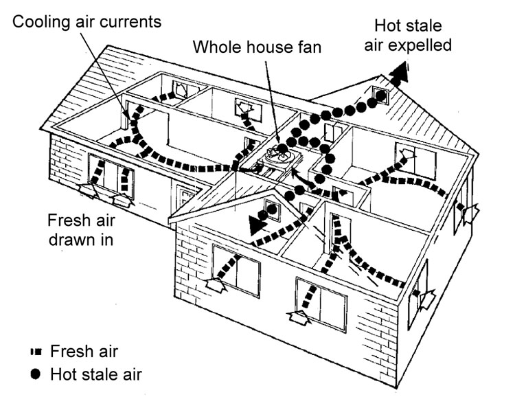 Concept designs should build in initial sustainability choices